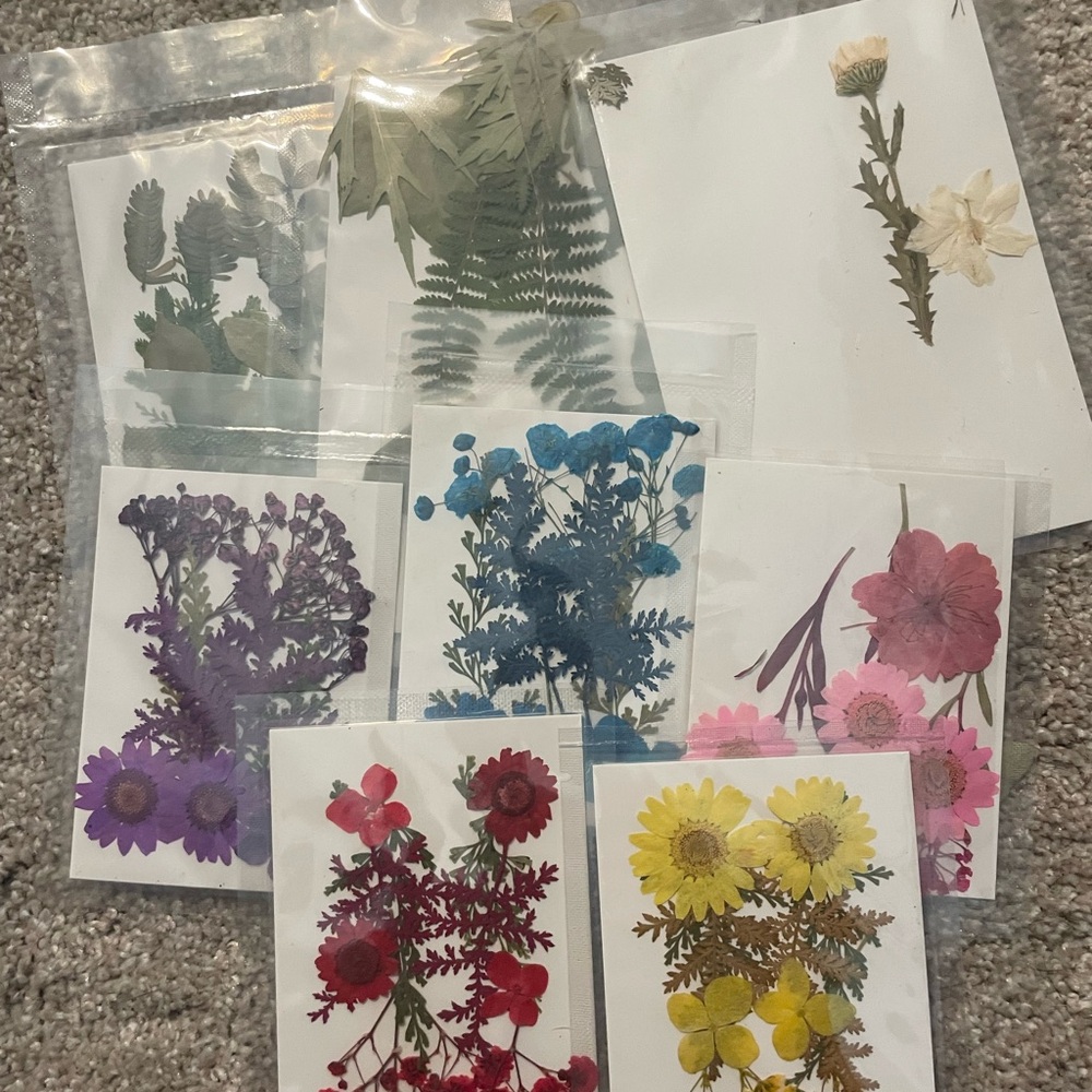 Craft Supply Bundle